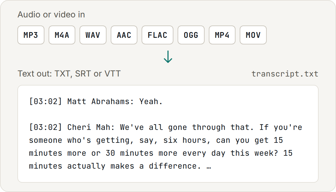 Audio and video formats going in, a timestamped TXT transcript coming out